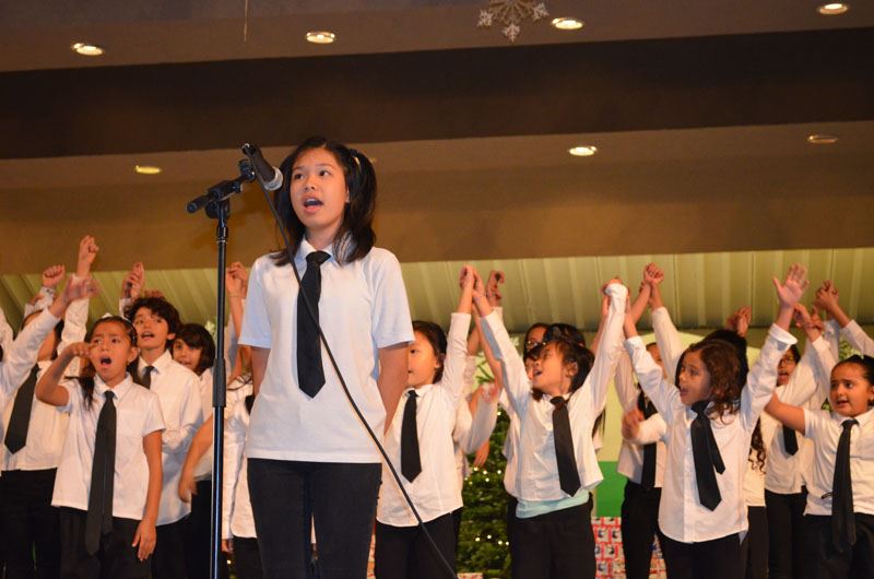 Holiday Snow Village 2015 25